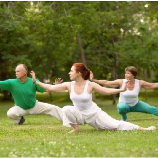 Practical Qigong to Enhance Clinical Outcomes with Chris Volesky, L.Ac.